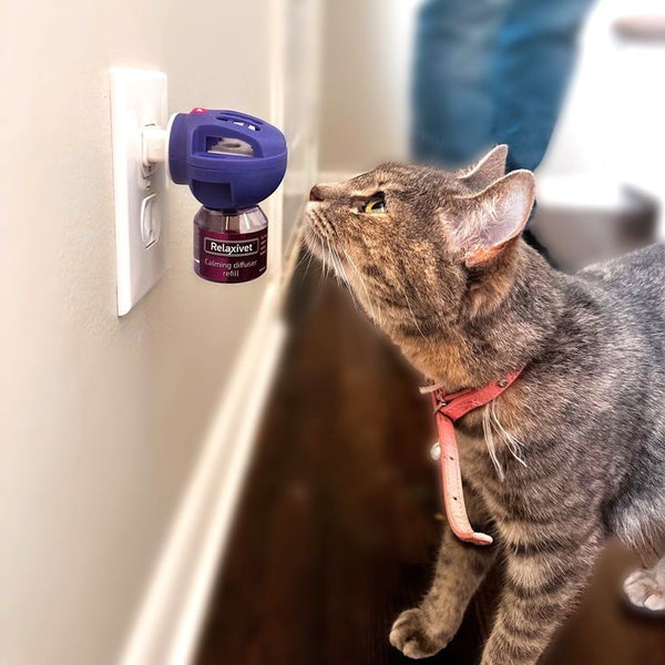TheraPet Calming Cat Diffuser