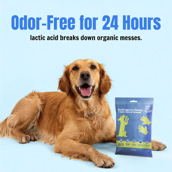 Instant Dog Clean Glove