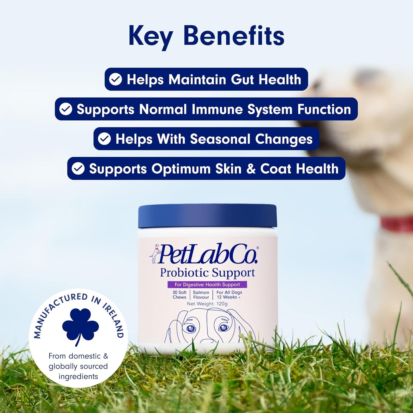 Doggie Gut Health Chews