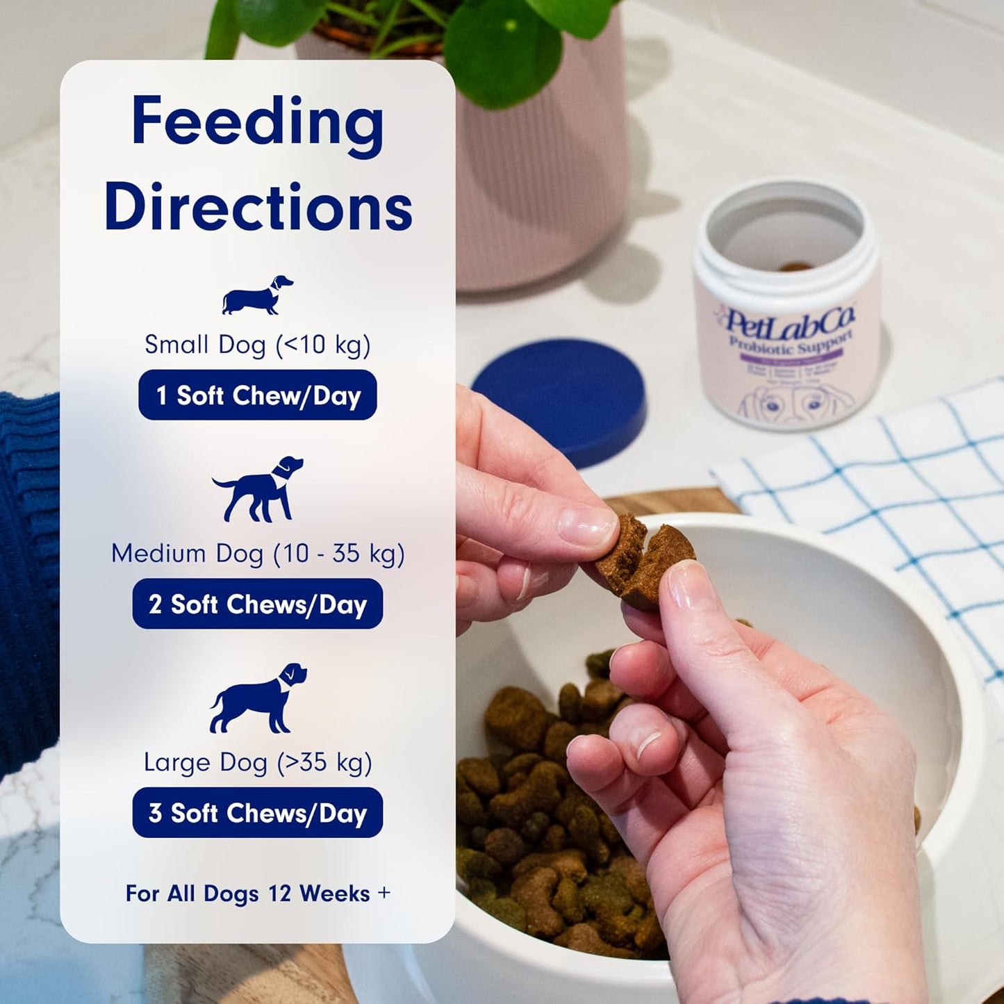 Doggie Gut Health Chews