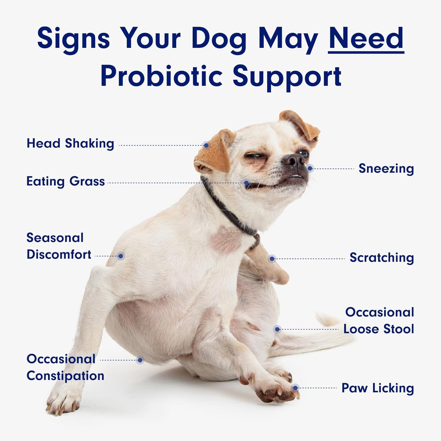 Doggie Gut Health Chews