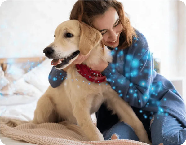 CalmPet Pheromone Diffuser