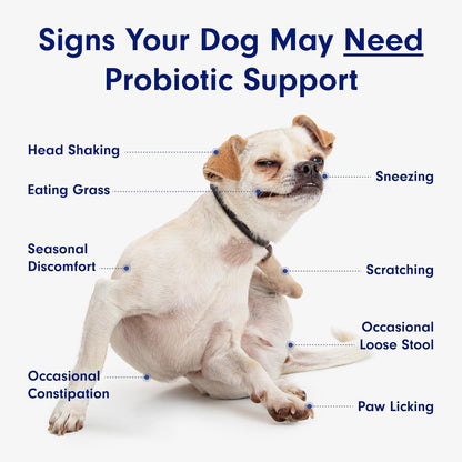 Doggie Gut Health Chews